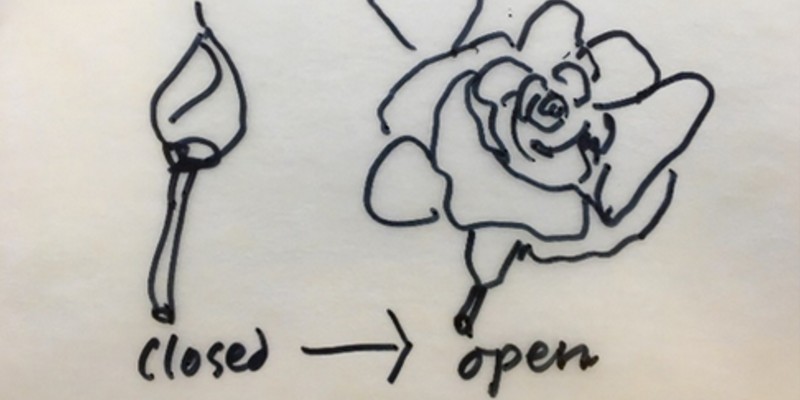 Illustration of closed and open roses by John Christophers