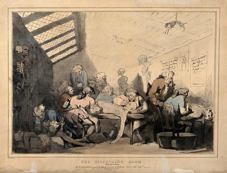 Three anatomical dissections taking place in an attic. Coloured lithograph by T. C. Wilson after a pen and wash drawing by T. Rowlandson. Wellcome Collection. Contributors: Rowlandson, Thomas, 1756-1827. Wilson, T.C. Wellcome Library no. 25405i.