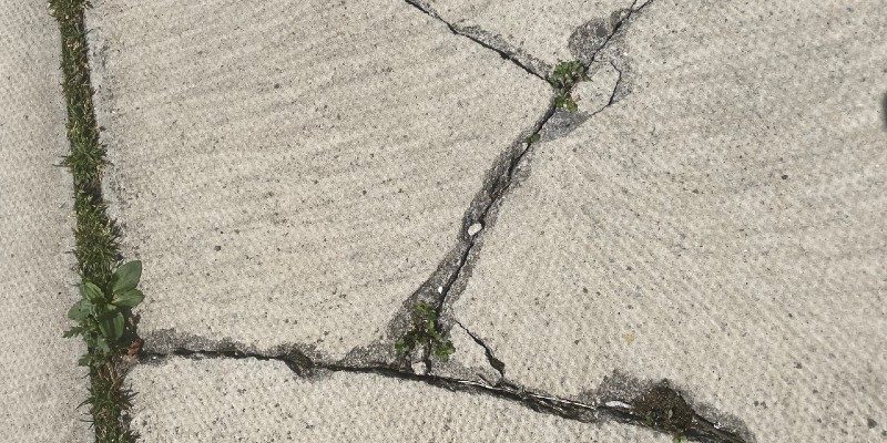 Photo of cracks in a pavement with greenery showing through
