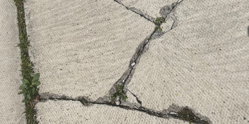 Cracks in a pavement with greenery showing through