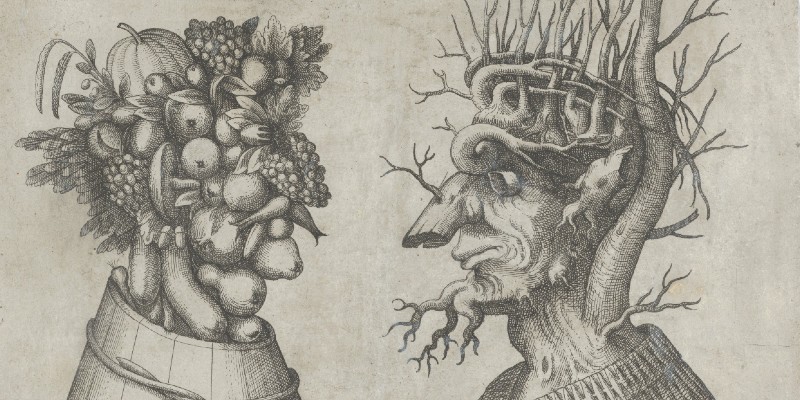 Drawing of two heads made from flora typical of those seasons