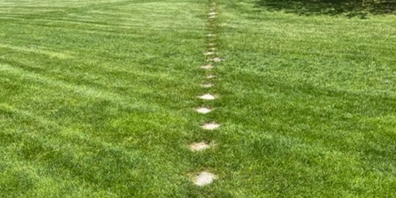 Grass with marks in a line